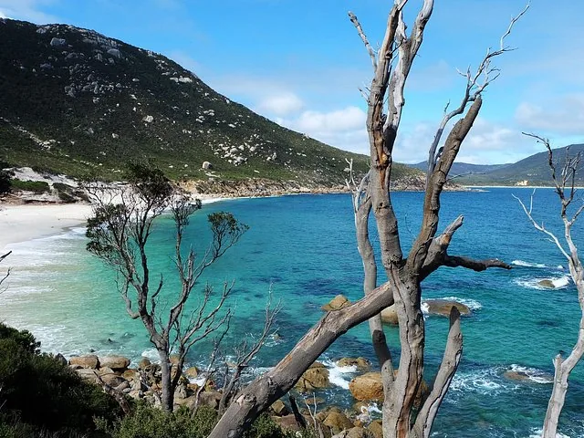 Vista panorámica de una playa de arena, aguas turquesas y cristalinas y colinas boscosas.