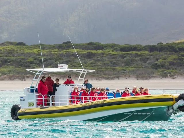 Passagiere auf einem gelben Amphibienboot im Wasser am Wilsons Promontory.