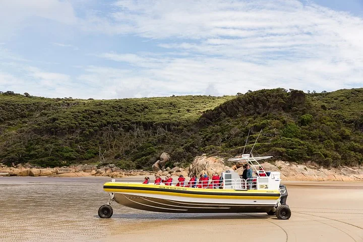 Gelbes Amphibienboot fährt an einem Sandstrand im Wilsons-Promontory-Nationalpark.